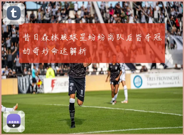 昔日森林狼球星纷纷离队后皆夺冠的奇妙命运解析