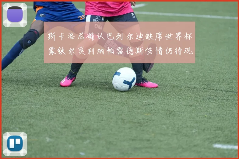 斯卡洛尼确认巴列尔迪缺席世界杯蒙铁尔莫利纳帕雷德斯伤情仍待观察